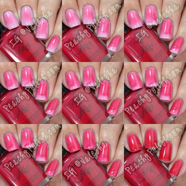 Polished by KPT Camellia