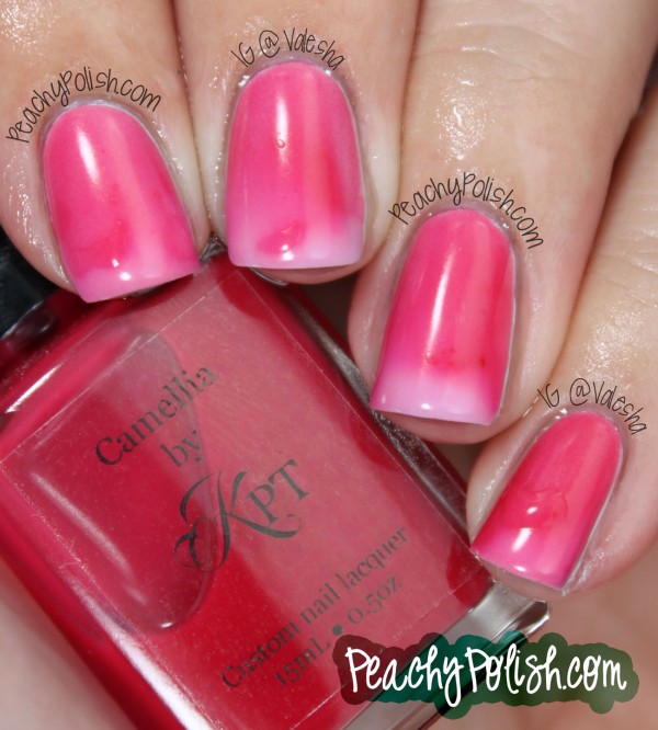 Polished by KPT Camellia