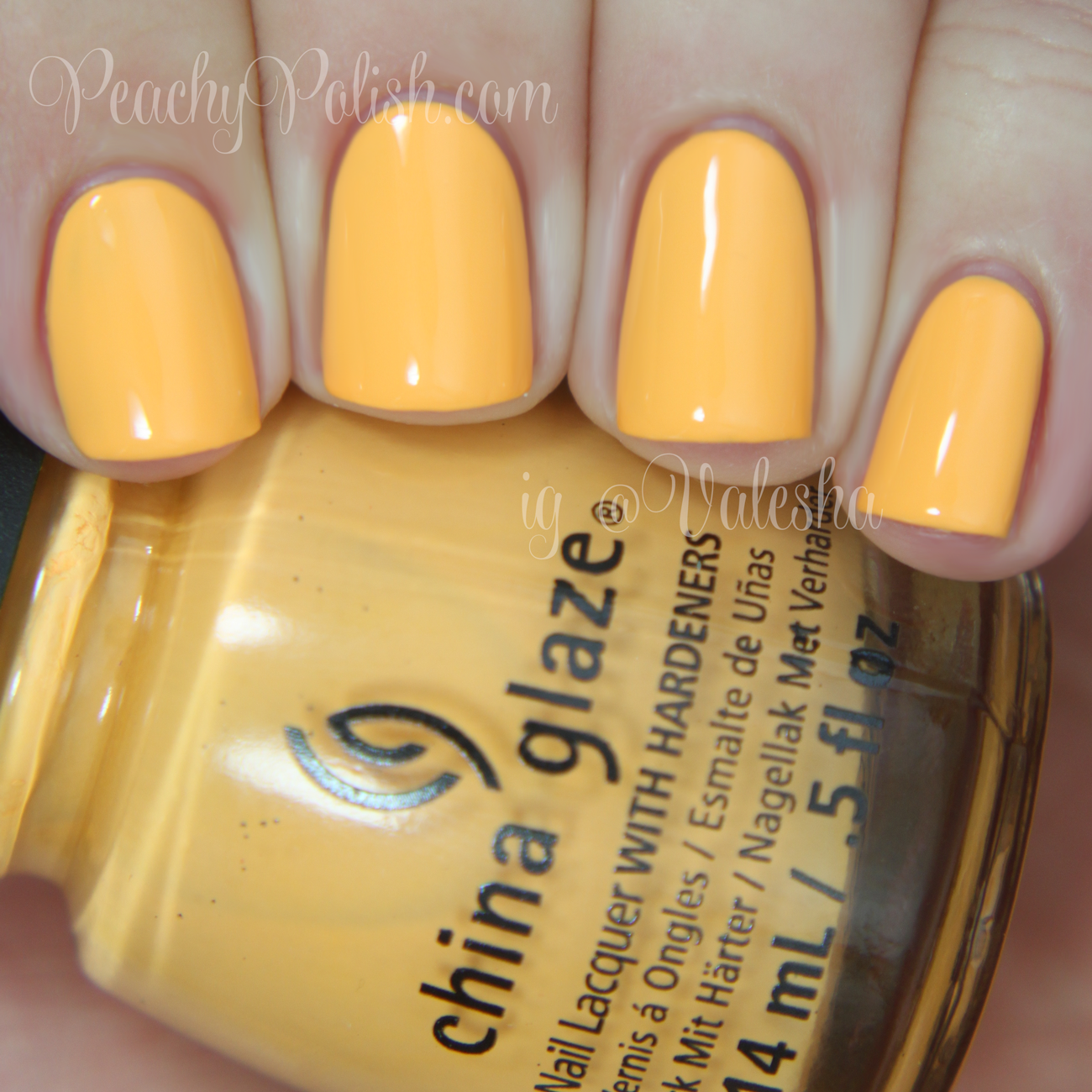 China Glaze: Spring 2014 City Flourish Collection Swatches & Review China Glaze: Spring 2014 City Flourish Collection Swatches & Review