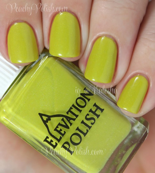 Elevation Polish I Got The Axe | Peachy Polish