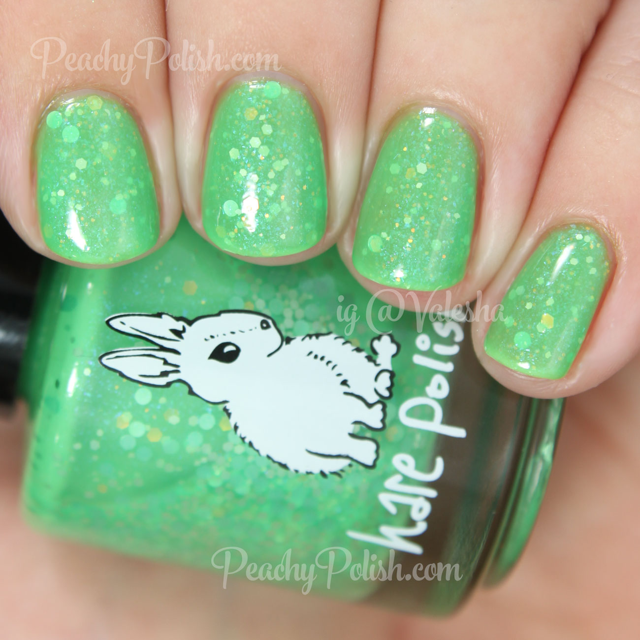 HARE polish Trust No One. Suspect Everyone. | Peachy Polish