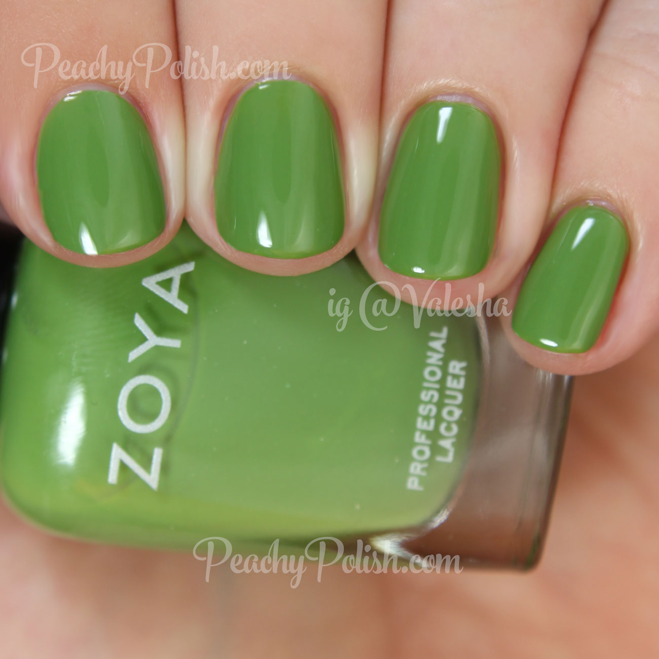 Zoya: Summer 2015 Island Fun & Paradise Sun Collections Swatches & Review