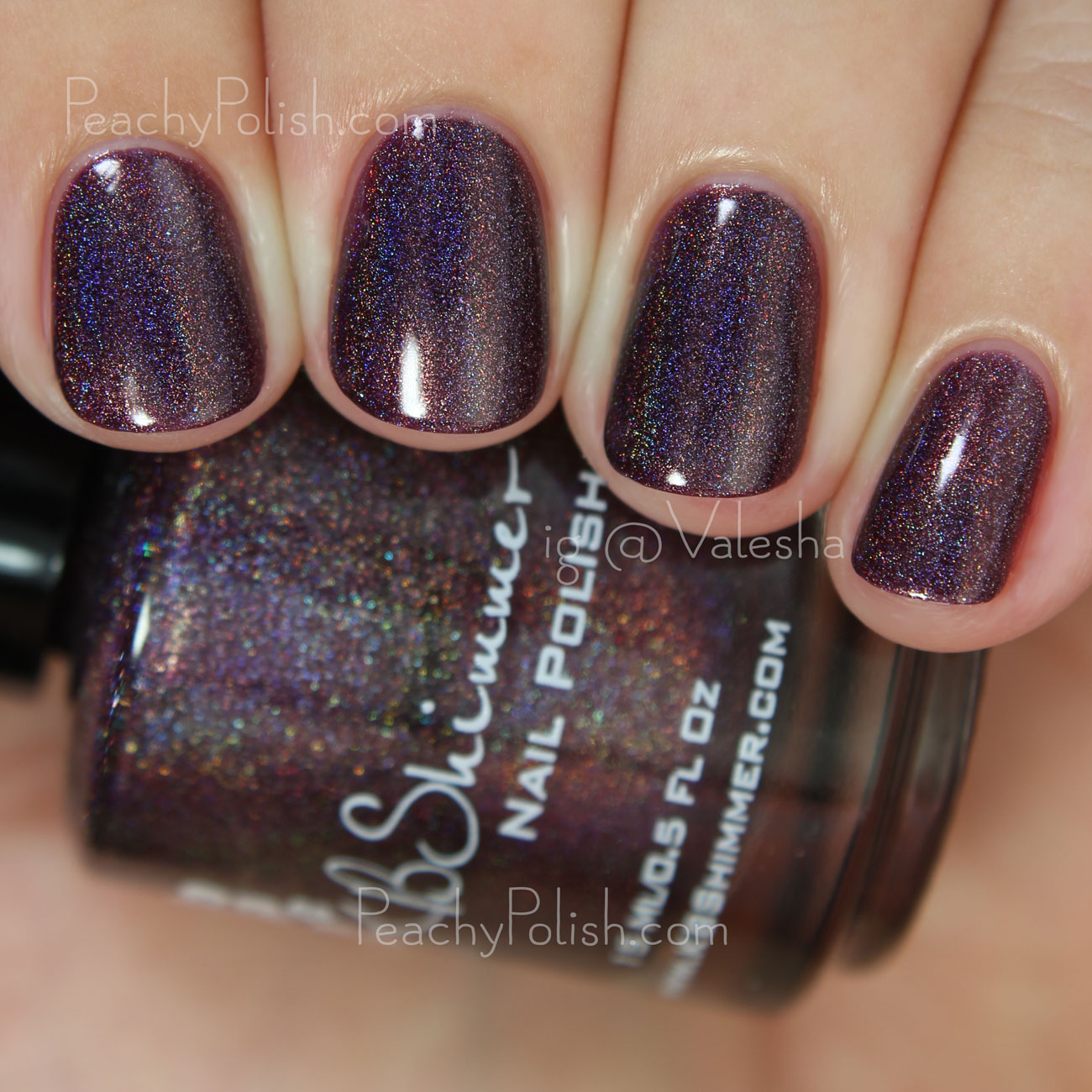 KBShimmer Fig-Get About It | Fall 2015 Collection | Peachy Polish
