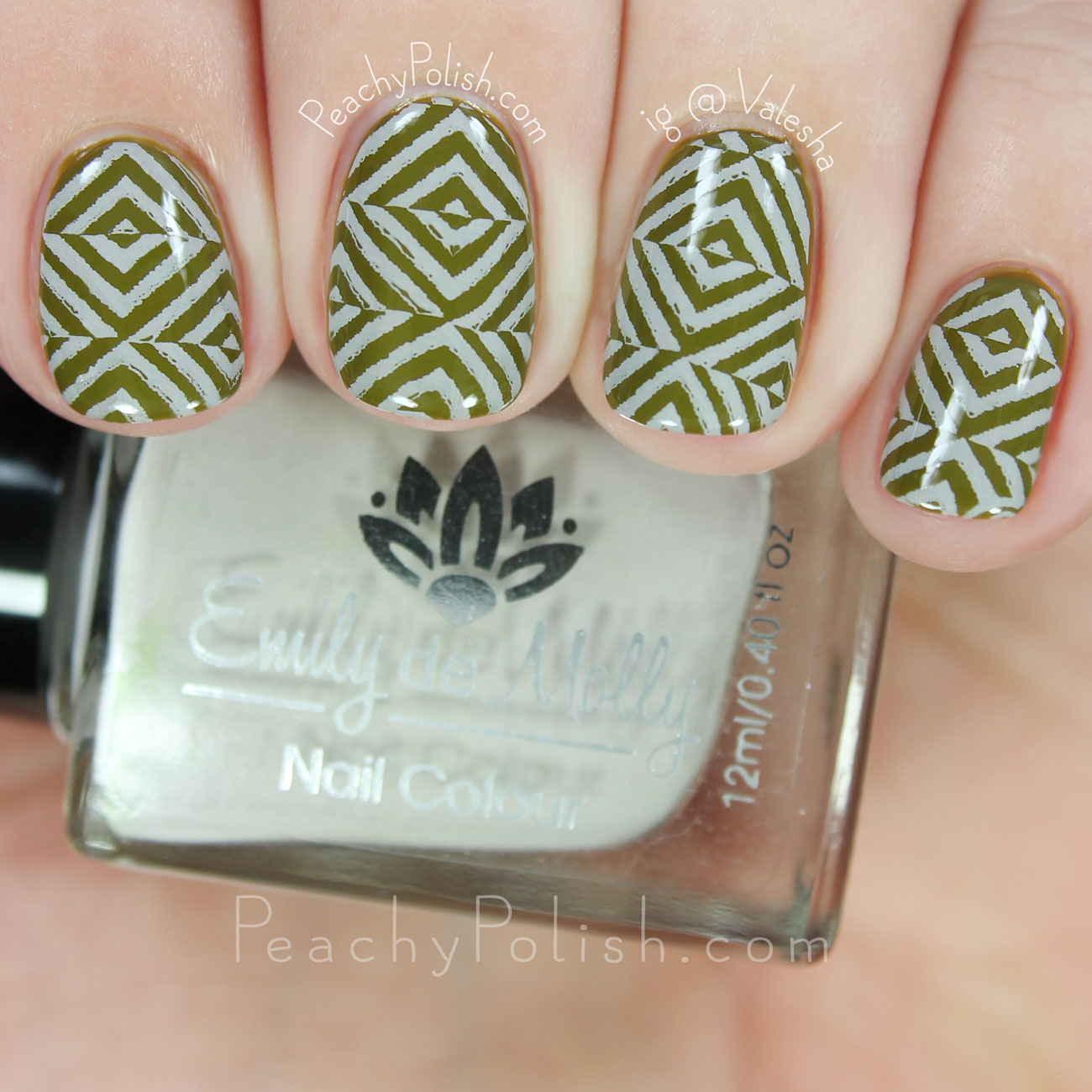 HēHē Plate 073 | Florals & Plaids Collection | Peachy Polish