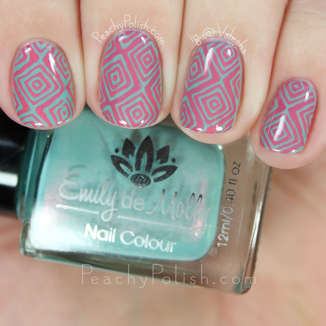 HēHē Plate 077 | Florals & Plaids Collection | Peachy Polish