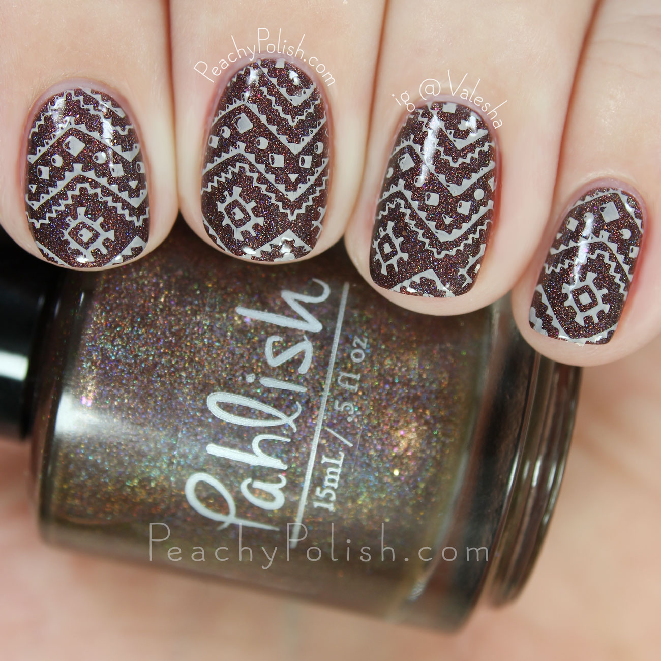 HēHē Plate 083 | Florals & Plaids Collection | Peachy Polish