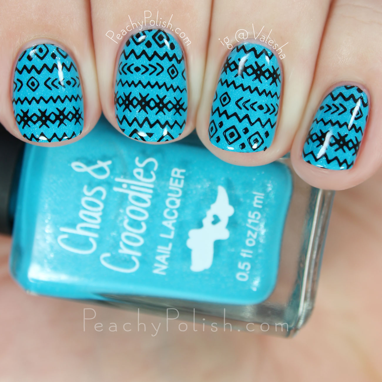 HēHē Plate 083 | Florals & Plaids Collection | Peachy Polish