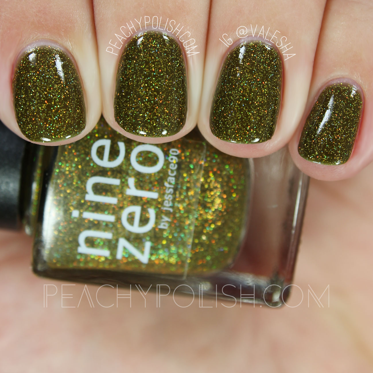 Nine Zero Lacquer Singer's Auto Salvage | Fall 2016 Collection | Peachy Polish