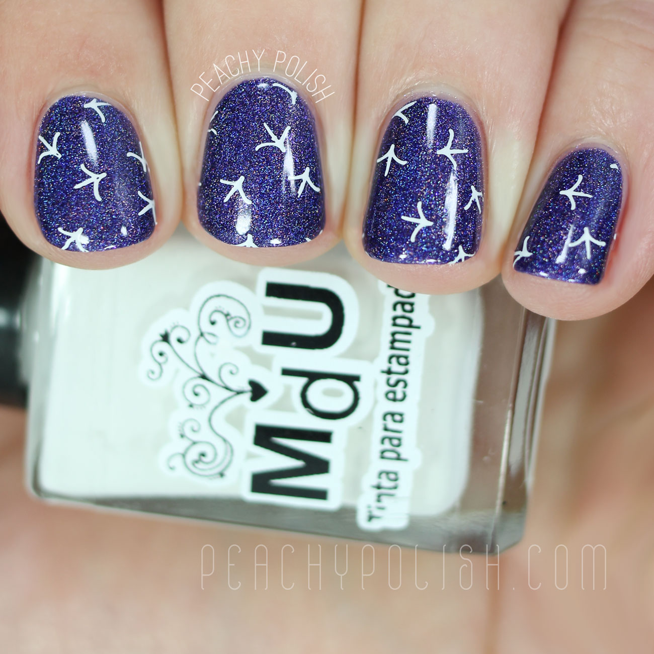 UberChic 16-02 Stamping Plate | Peachy Polish